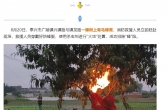 么得命！泰兴这户人家车库里有个好大的马蜂窝！