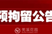 泰兴市人民法院预拘留公告（2025年第31期）
