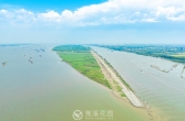 天星洲生态岛：野生鸟类的快乐家园