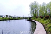 守护碧水清波 绘就“水韵泰兴”生态画卷