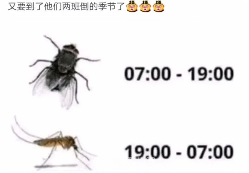 微信图片_20210603172839.png