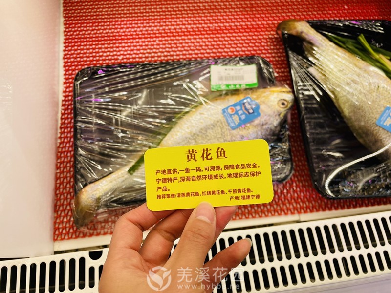 黄花鱼1.JPG