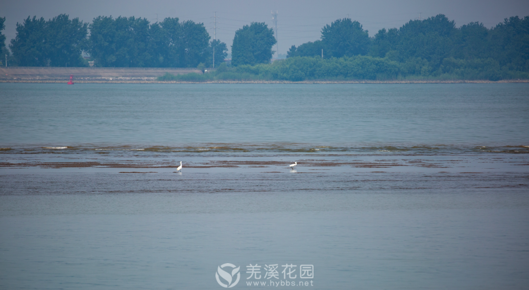微信图片_20220310110153.png