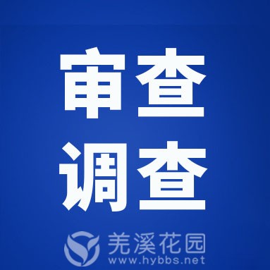 审查调查.jpg