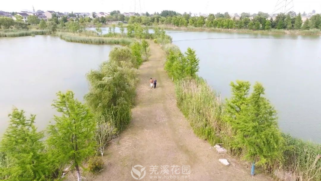微信图片_20250630223603.jpg