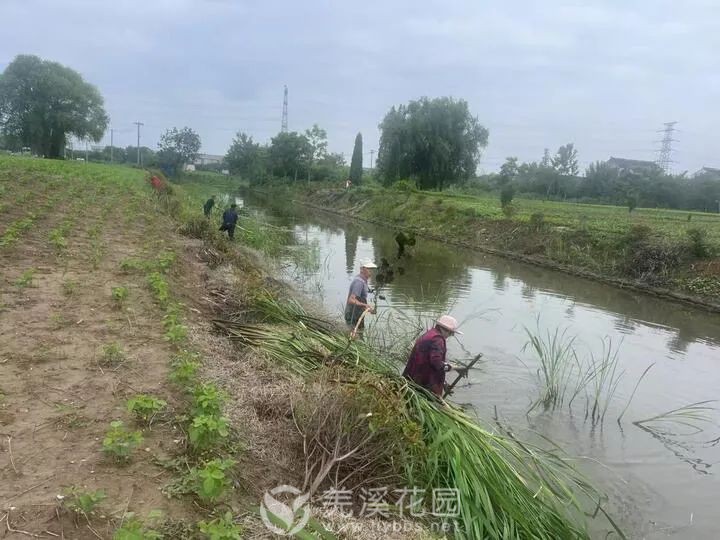 微信图片_20250815153613.jpg