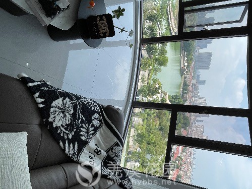 IMG_8304.jpeg